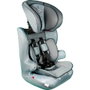 Licensing Silla de Coche Colzani 101 Dálmatas Grupos 1/2/3 Universal 9-36 kg