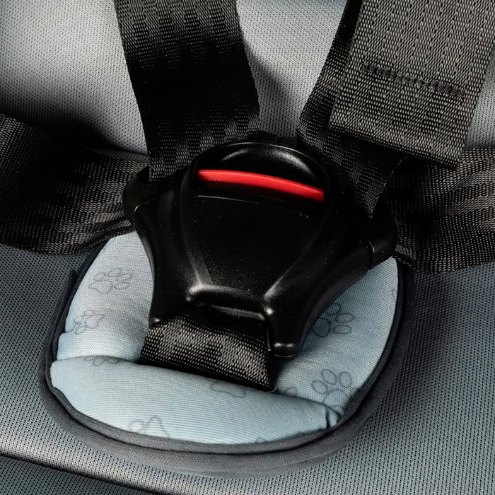 Licensing Silla de Coche Colzani 101 Dálmatas Grupos 1/2/3 Universal 9-36 kg