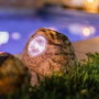 Lumisky Juego de 3 Piedras Solares Rocky Brown con LED Blanco