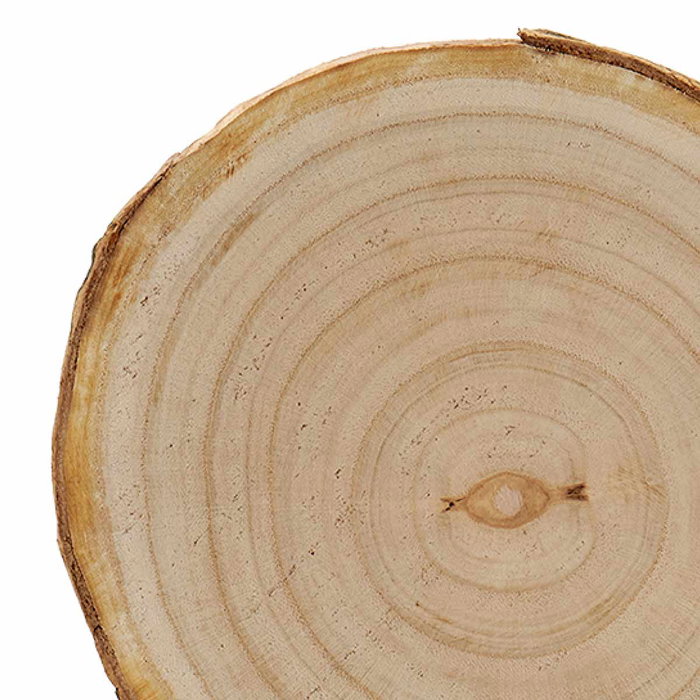 Giftdecor Figura Tronco Decorativo de Madera Paulownia Marrón 20,5 cm (Set de 18)
