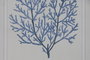 DKD Home Decor Surtido de 6 Cuadros de Cristal y Abeto Coral 40x3,5x50 cm