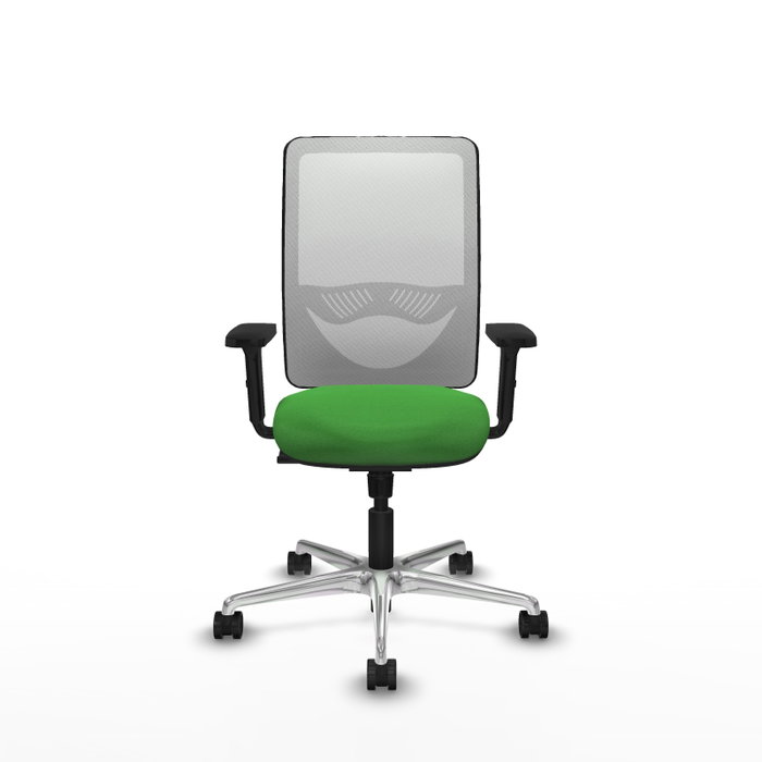 PIQUERAS Y CRESPO Silla de oficina Zulema con mecanismo Sincro, Tela Verde y Malla Blanca PIQUERAS Y CRESPO Silla de oficina Zulema con mecanismo Sincro, Tela Verde y Malla Blanca