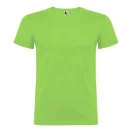 Roly Camiseta Beagle Verde Oasis T.S