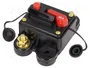 4CARMEDIA Fusible Automático de Coche 60A Retardado