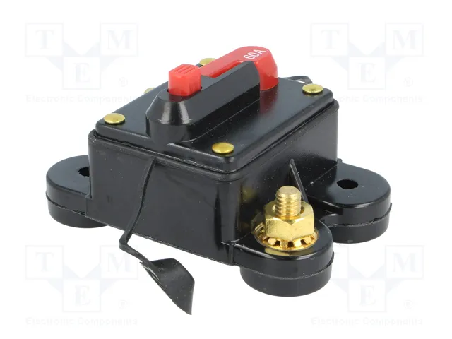 4CARMEDIA Fusible Automático de Coche 60A Retardado