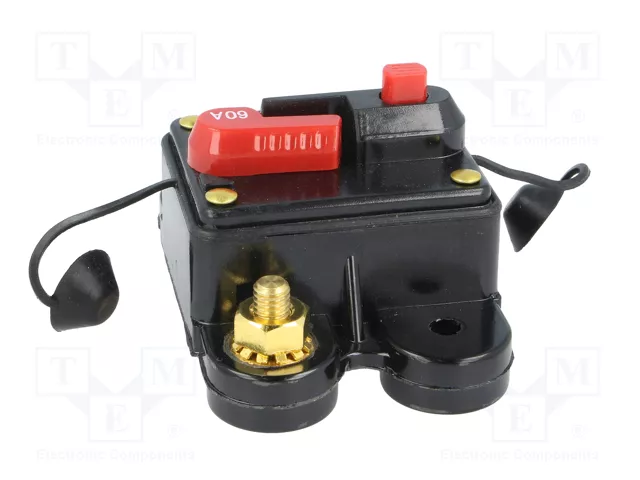4CARMEDIA Fusible Automático de Coche 60A Retardado