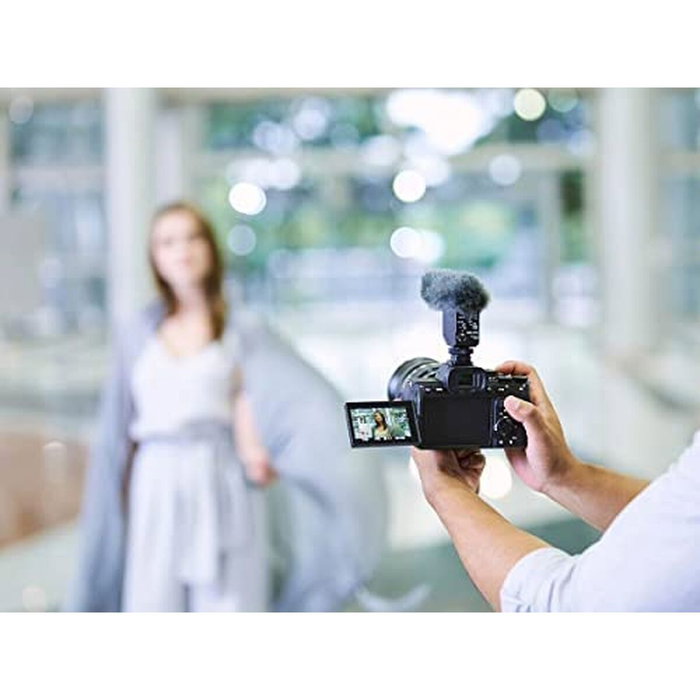 Sony Alpha 7 Mark IV Body