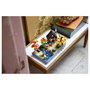 LEGO Icons Jardín Rural Otoñal 11372, Modelo de Construcción para Adultos, Multicolor
