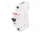 ABB S201M-C10 Interruptor magnetotérmico 10A 1P 10kA