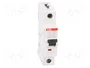 ABB S201M-C10 Interruptor magnetotérmico 10A 1P 10kA