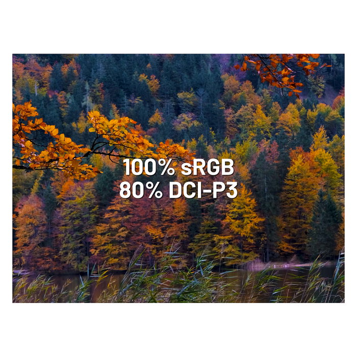 JAPANNEXT Monitor Gaming IPS JN-I238FHD120F-HSP-YE 23.8 Pulgadas Full HD 1920x1080 0.5 ms 120 Hz AMD FreeSync Amarillo