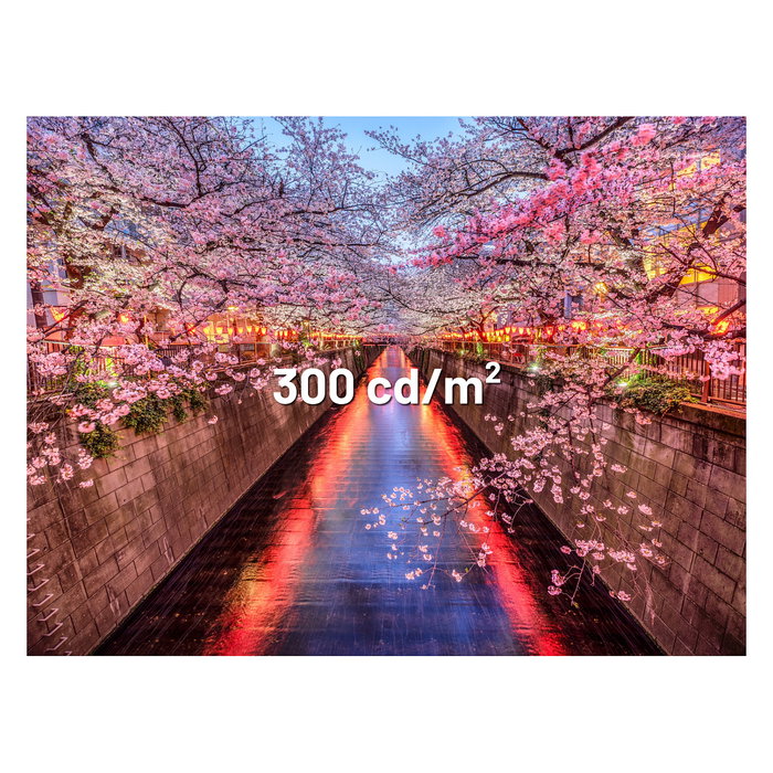 JAPANNEXT Monitor Gaming IPS JN-I238FHD120F-HSP-YE 23.8 Pulgadas Full HD 1920x1080 0.5 ms 120 Hz AMD FreeSync Amarillo