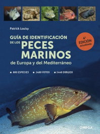 OMEGA GUIA DE IDENTIFICACION DE LOS PECES MARINOS DE EUROPA, PATRICK LOUISY - OMEGA