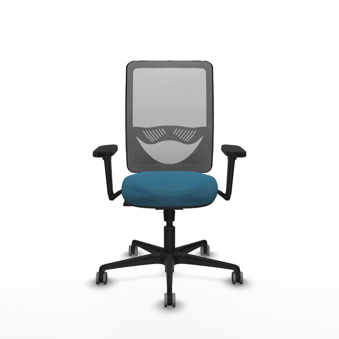 PIQUERAS Y CRESPO Silla de oficina Zulema con mecanismo Sincro, Verde petróleo y Gris PIQUERAS Y CRESPO Silla de oficina Zulema con mecanismo Sincro, Verde petróleo y Gris