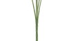 DKD Home Decor Rama Poliéster PE Surtido de 4 Colores