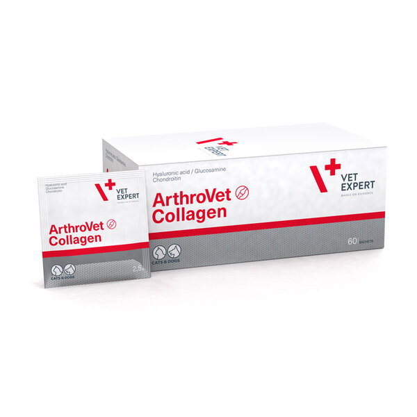 VET EXPERT VET Arthrovet Collagen 60 Sobres VET EXPERT VET Arthrovet Collagen 60 Sobres