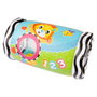 Playgro Rodillo Mira y Juega Peek and Play Roller Estimulación Gateo Sonido Melodioso +6 meses Multicolor