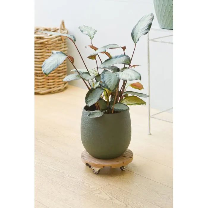 Nature Soporte para macetas con ruedas WPC H7,5 x Ø30 cm - 4 ruedas - NAT8711338702468