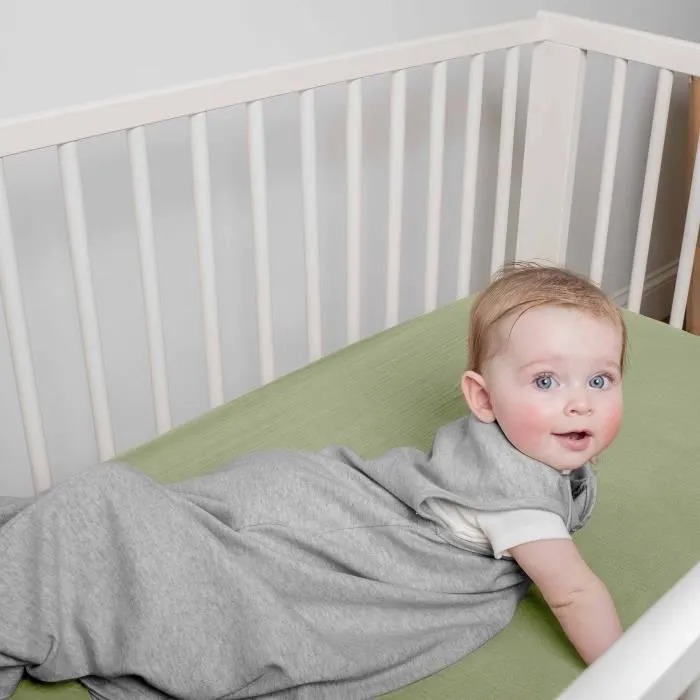Ingenuity Saco de Dormir ING0074451173941, Saco con Diseño de Pájaros, TOG 2.5, 3-18 Meses, Certificado Oeko-Tex