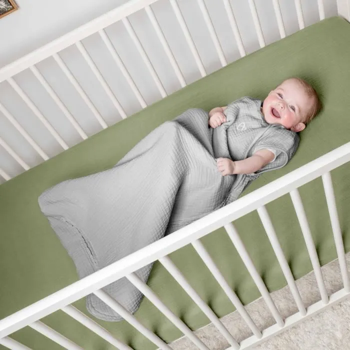 Ingenuity Saco de Dormir ING0074451173941, Saco con Diseño de Pájaros, TOG 2.5, 3-18 Meses, Certificado Oeko-Tex