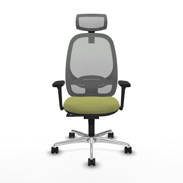 PIQUERAS Y CRESPO Silla de oficina Cilanco con mecanismo Sincro, Verde oliva y Gris PIQUERAS Y CRESPO Silla de oficina Cilanco con mecanismo Sincro, Verde oliva y Gris