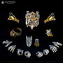 Legendari Actionfigur 1/10 Cyberius Kaine 18 cm