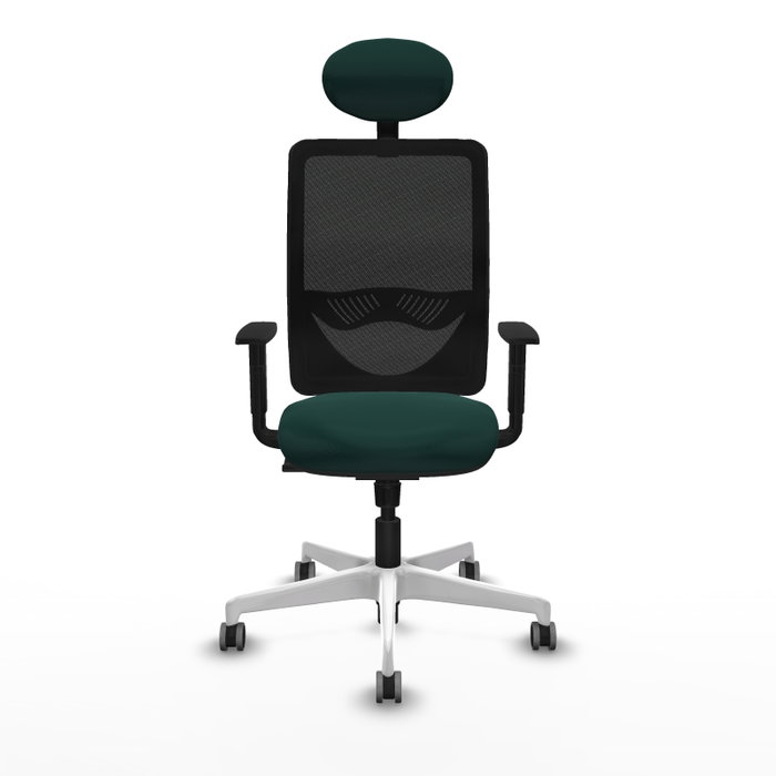 PIQUERAS Y CRESPO Silla de oficina Zulema con mecanismo Sincro, Verde botella y Negro PIQUERAS Y CRESPO Silla de oficina Zulema con mecanismo Sincro, Verde botella y Negro