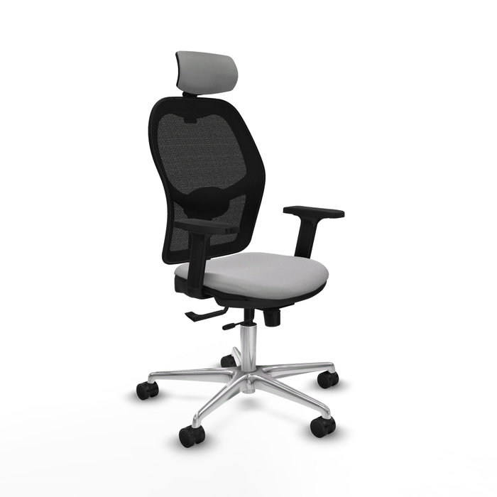 PIQUERAS Y CRESPO Silla de oficina Jorquera con mecanismo Sincro/Traslack, Gris claro y Negro PIQUERAS Y CRESPO Silla de oficina Jorquera con mecanismo Sincro/Traslack, Gris claro y Negro