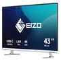 Eizo FlexScan EV4340X-WT 42.5 pulg. 4K IPS Blanco
