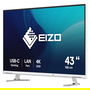 EIZO EV4340X-WT 108cm (42.5") 4K Ultra HD IPS LCD 3840x2160 5ms Blanco