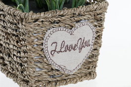 DKD Home Decor Planta Lila Natural Metal Pe 12 x 22 x 12 cm (6 Unidades)