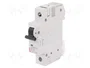 ETI POLAM Interruptor magnetotérmico ETIMAT 10 1P B32 32A 10kA