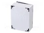 ELEKTRO-PLAST NASIELSK Carcasa de pared INDUSTRIAL SR Gris