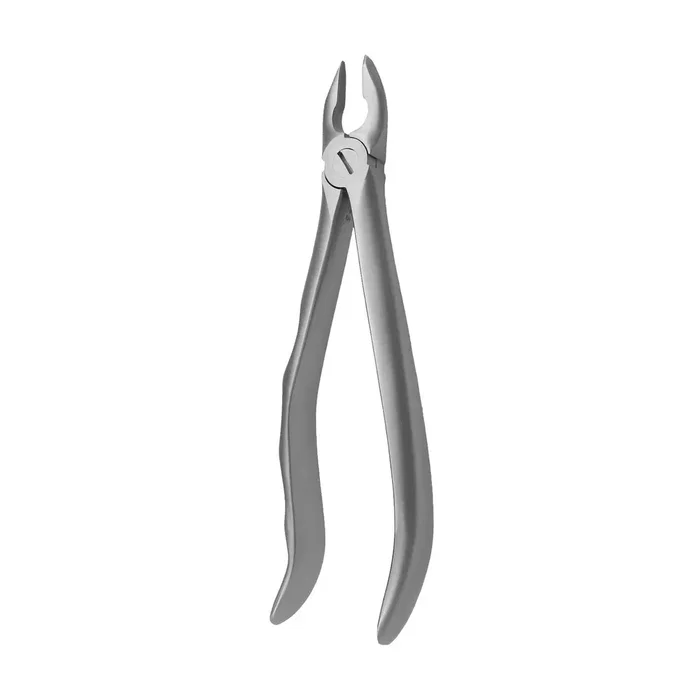Covetrus Forceps N2 Incisivos y Caninos Covetrus Forceps N2 Incisivos y Caninos