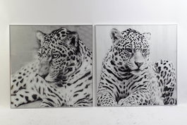 DKD Home Decor Cuadro Cristal 100x2,5x100 Leopardo Surtido de 2 unidades