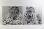 DKD Home Decor Cuadro Cristal 100x2,5x100 Leopardo Surtido de 2 unidades