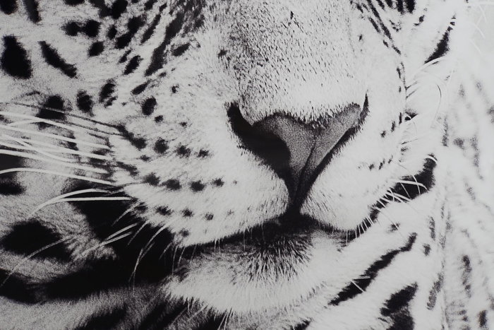 DKD Home Decor Cuadro Cristal 100x2,5x100 Leopardo Surtido de 2 unidades