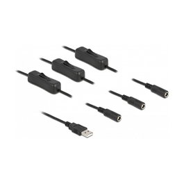 DeLOCK Cable USB Tipo-A a 3 x DC 5,5 x 2,1 mm Hembra con Interruptor, 1 m
