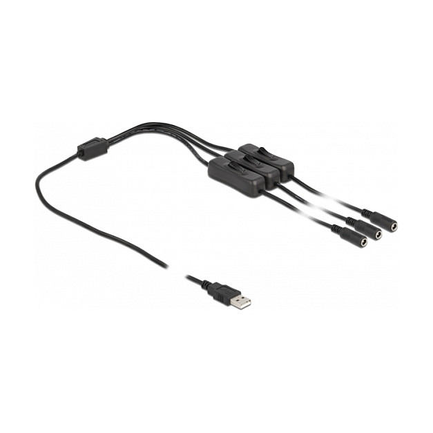 DeLOCK Cable USB Tipo-A a 3 x DC 5,5 x 2,1 mm hembra con interruptor 1 m 86798