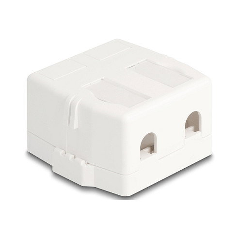 DeLOCK 85843 Soporte para instalación en carcasa, Blanco