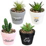 Home Deco Factory Planta Artificial con Maceta Colección Little Garden