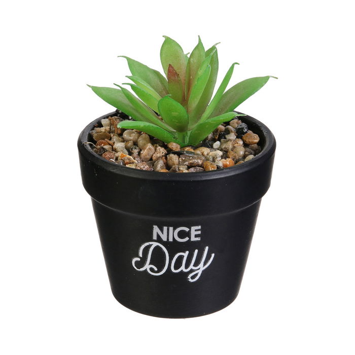 Home Deco Factory Planta Artificial con Maceta Colección Little Garden