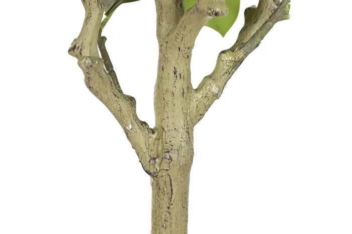 DKD Home Decor Árbol de Magnolio Blanco y Verde 70x70x180 cm