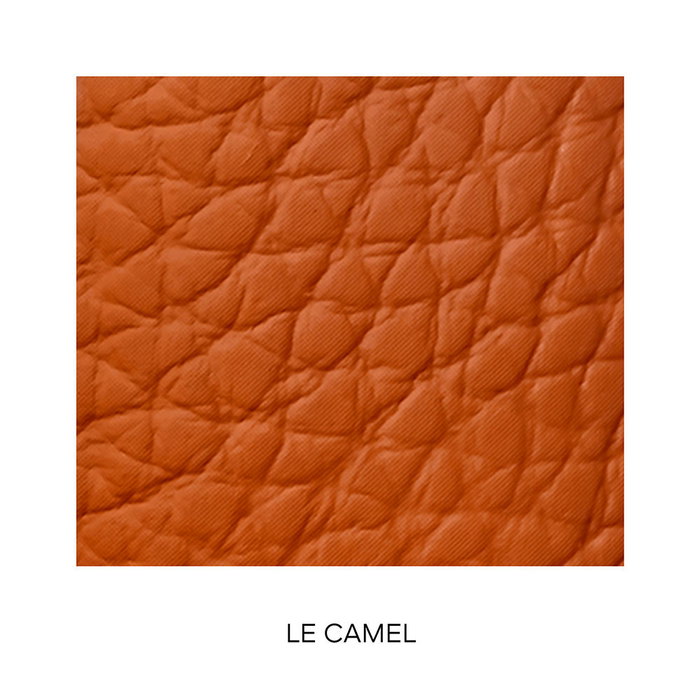 Guerlain Rouge G Lips Case Le Camel Guerlain Rouge G Lips Case Le Camel