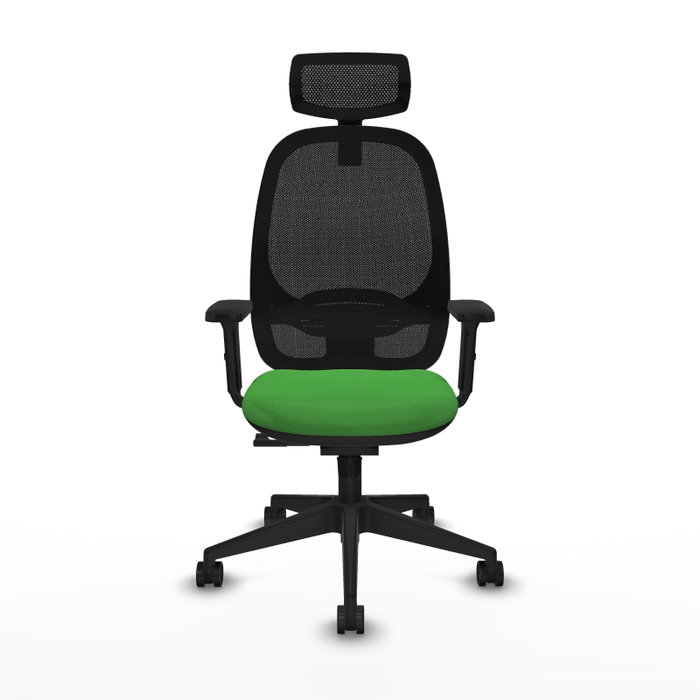 PIQUERAS Y CRESPO Silla de oficina Cilanco con mecanismo Sincro, Verde y Negro PIQUERAS Y CRESPO Silla de oficina Cilanco con mecanismo Sincro, Verde y Negro