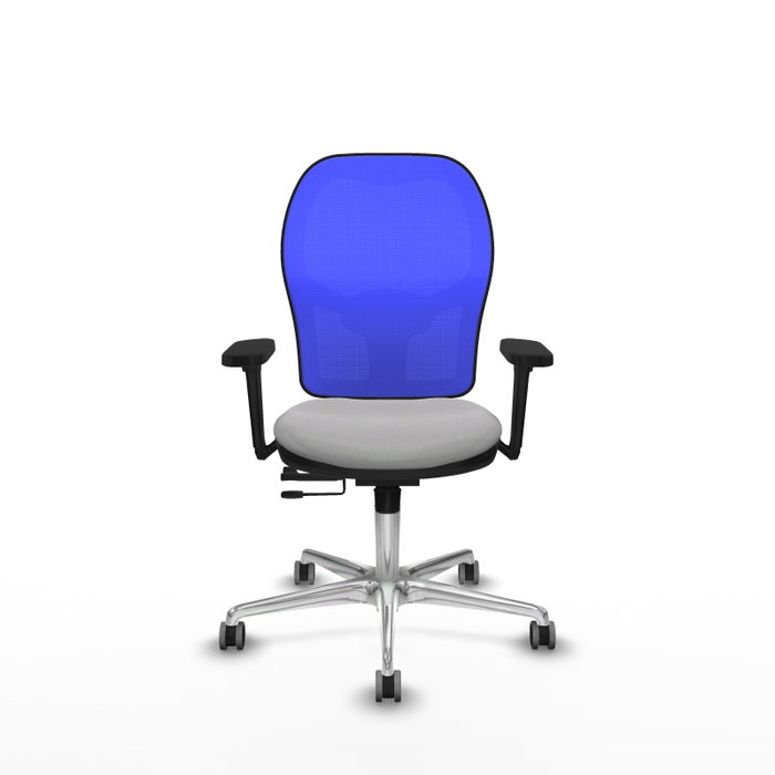 PIQUERAS Y CRESPO Silla de oficina Jorquera con mecanismo Sincro/Traslack, Gris claro y Azul PIQUERAS Y CRESPO Silla de oficina Jorquera con mecanismo Sincro/Traslack, Gris claro y Azul