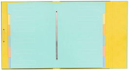 Mr. Wonderful Carpeta separadora Esto está hecho WOA11103 con solapas y gomas, 12 separadores, Verde Estampado