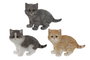 DKD Home Decor Figura de Resina Gatito Surtido de 3 Unidades