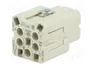 ILME Conector HDC CKS Hembra 5 Pines