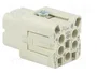 ILME Conector HDC CKS Hembra 5 Pines